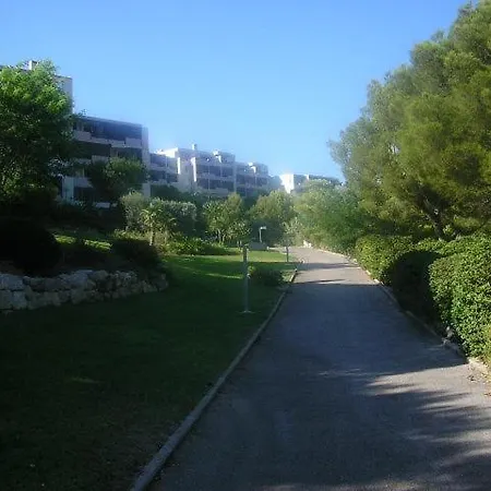 Detente * Cassis